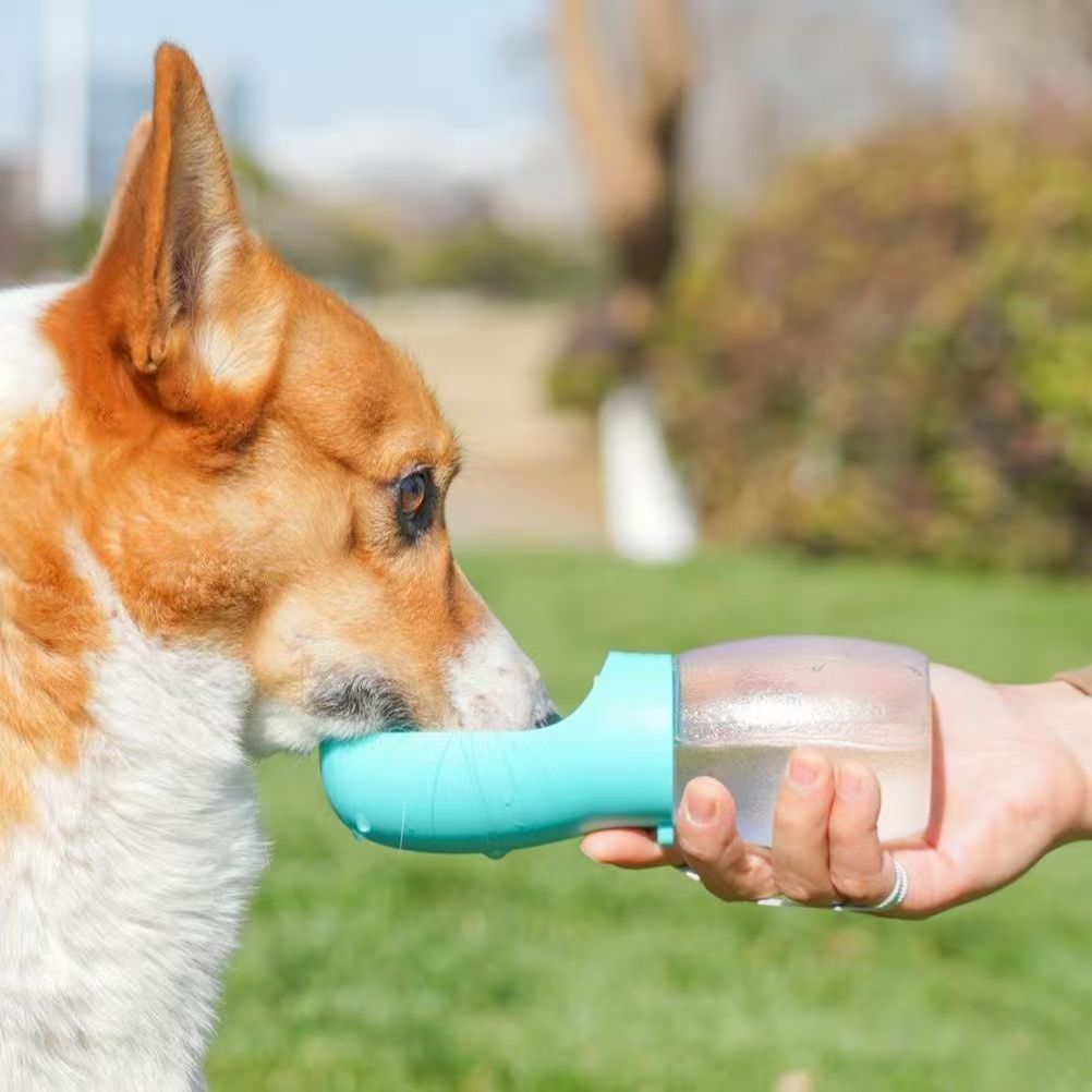 Outdoor Adventure Walks - Portable pet water bottle for dogs