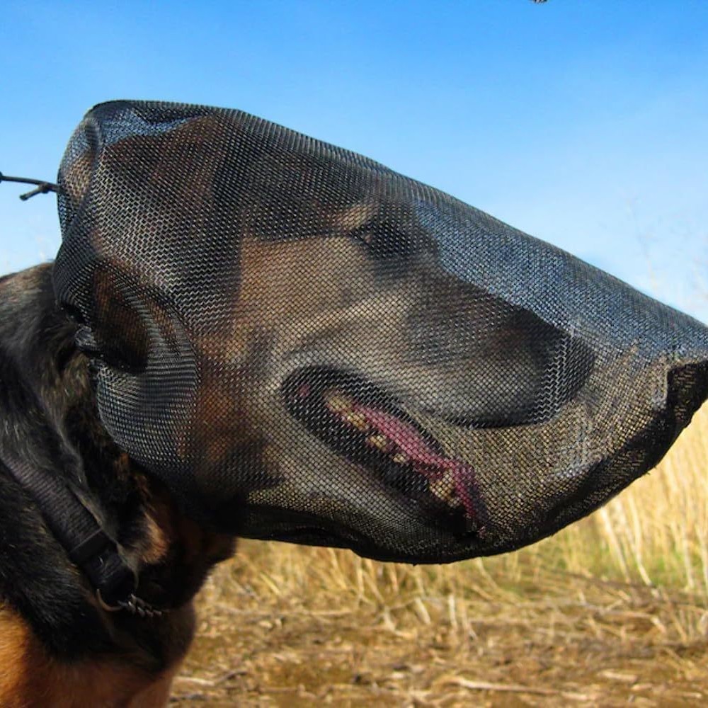 Mesh Dog Mask Adjustable Insec - Outdoor Adventure Walks ulasan dan harga
