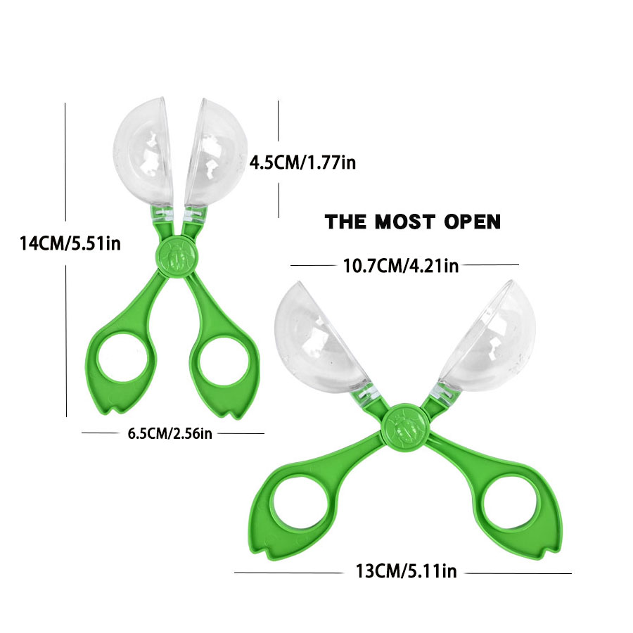 Outdoor Adventure Insect Colle - Outdoor Adventure Education ulasan dan harga