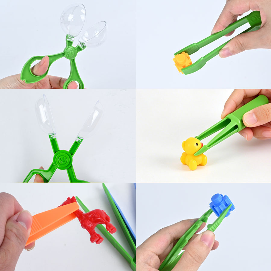 Outdoor Adventure Insect Colle - Outdoor Adventure Education ulasan dan harga