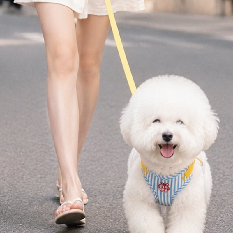 Cute Dog Leash Vest-Style Ches - Outdoor Adventure Walks ulasan dan harga