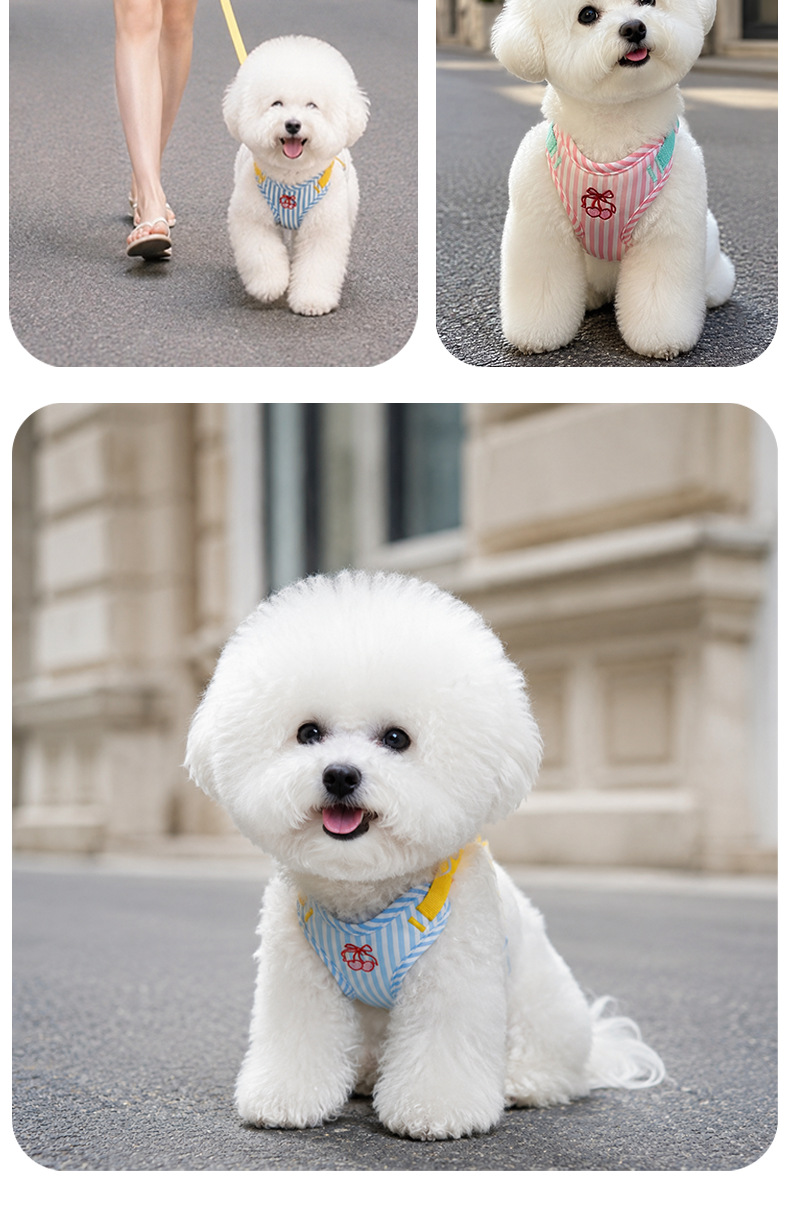 Cute Dog Leash Vest-Style Ches - Outdoor Adventure Walks ulasan dan harga